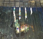 melted ice trays and&nbsp;crayons