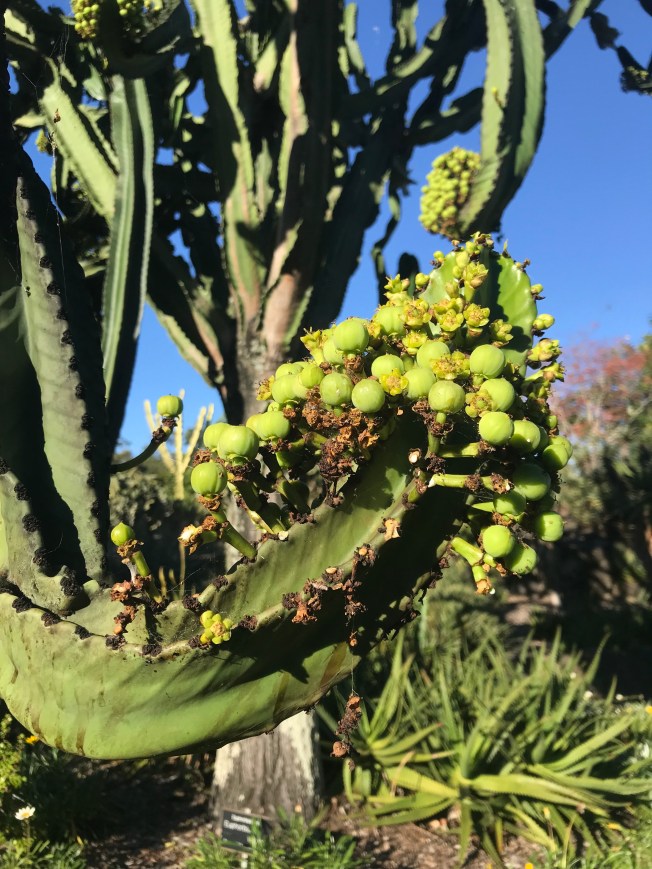 1eCTqNeCT6SEEwve8K65eA