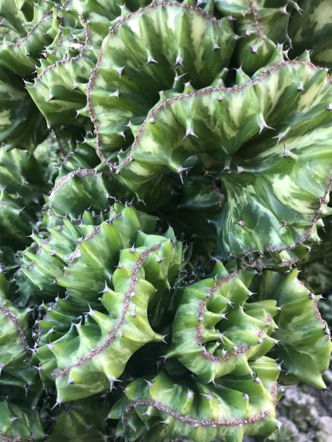 Ap+Na964Qu+6JTf6kxiHcA