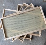 A family that bees together, stays&nbsp;together.